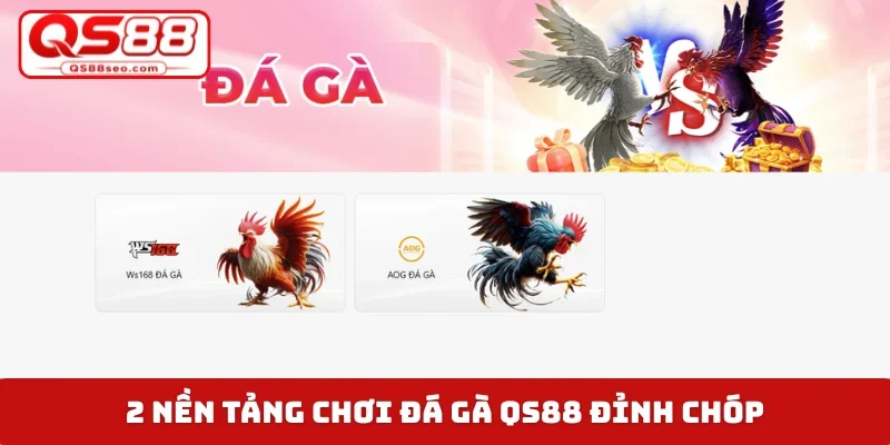 2 nền tảng chơi đá gà QS88 đỉnh chóp
