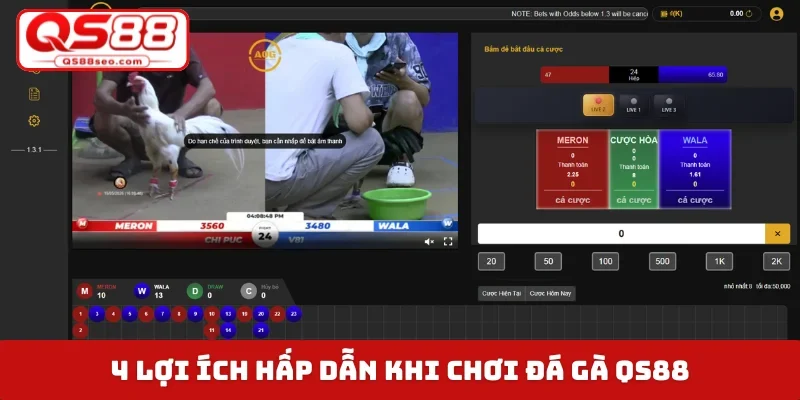 4 lợi ích hấp dẫn khi chơi đá gà QS88