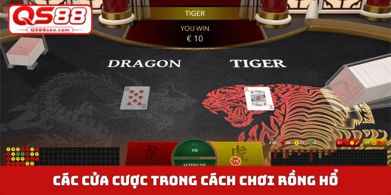 Các cửa cược trong cách chơi Rồng Hổ