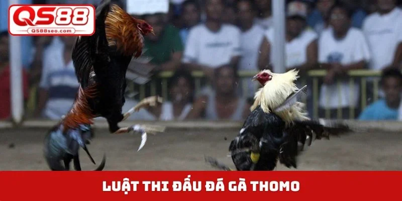 Luật thi đấu đá gà Thomo