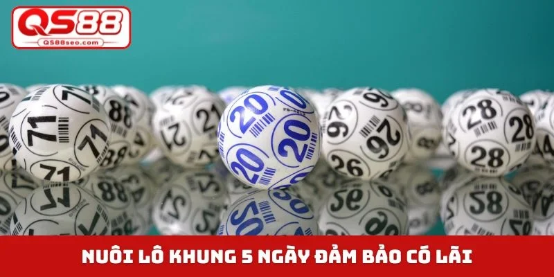 Nuôi lô khung 5 ngày đảm bảo có lãi