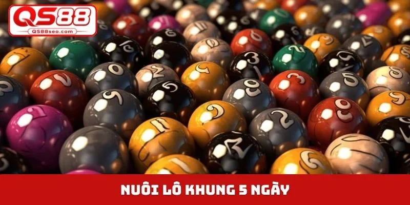 nuôi lô khung 5 ngày