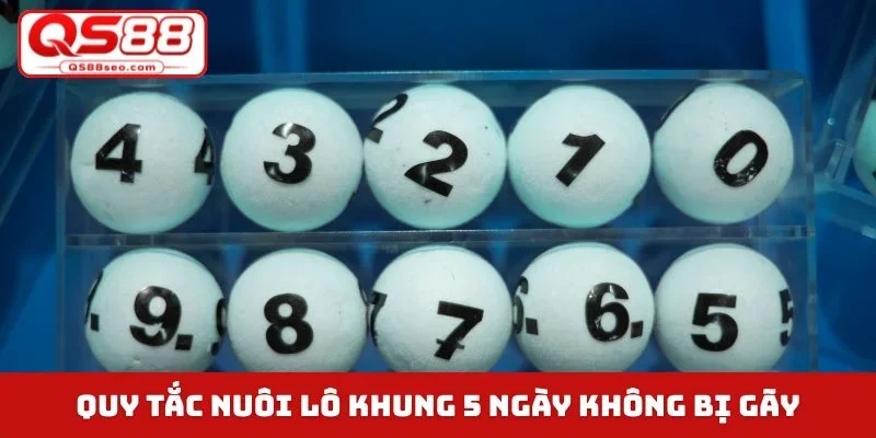 Quy tắc nuôi lô khung 5 ngày không bị gãy